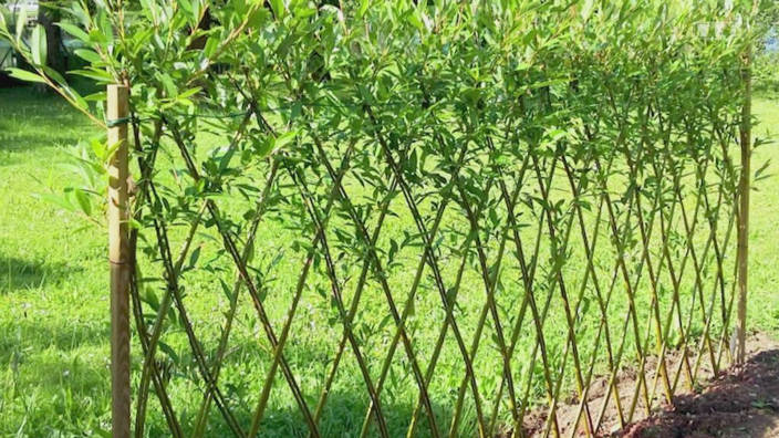 Habitons demain - Les clôtures écologiques